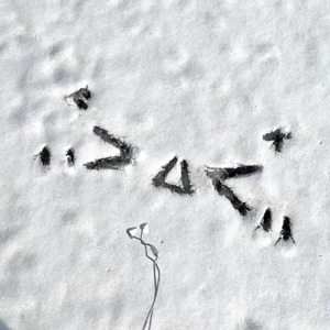 五十六十丰满老熟
